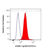NAT10 Monoclonal antibody, PBS Only 67465-1-PBS proteintech