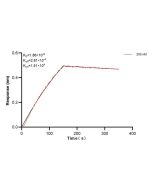 PGAM1 Monoclonal antibody 67470-1-Ig proteintech