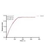 CD24 Monoclonal antibody, PBS Only (Detector) 67627-5-PBS proteintech