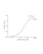 Virus SARS-CoV-2 Nucleocapsid Phosphoprotein Monoclonal antibody, PBS Only (Detector) 67666-2-PBS proteintech