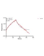 LAMB1 Monoclonal antibody, PBS Only (Capture) 67705-4-PBS proteintech