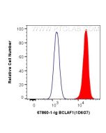 BCLAF1 Monoclonal antibody, PBS Only 67860-1-PBS proteintech