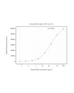 FMO4 Monoclonal antibody, PBS Only (Capture/Detector) 67881-2-PBS proteintech