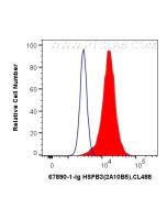 HSPB3 Monoclonal antibody 67890-1-Ig proteintech