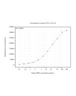 HBB Monoclonal antibody, PBS Only (Detector) 67899-3-PBS proteintech
