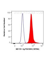 PACSIN1 Monoclonal antibody 68115-1-Ig proteintech