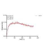 GPD2 Monoclonal antibody, PBS Only (Detector) 68174-1-PBS proteintech