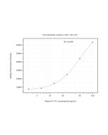 CUX1 Monoclonal antibody, PBS Only (Detector) 68449-5-PBS proteintech