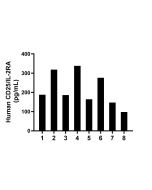 CD25/IL-2RA Monoclonal antibody, PBS Only (Detector) 68698-2-PBS proteintech