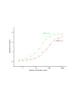 NeutraKine® TNF-alpha Monoclonal antibody, PBS Only 69002-1-PBS proteintech
