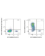 FcZero-rAb? Biotin Anti-Human CD100 Rabbit Recombinant Antibody Proteintech  Biotin-FcA98345-2