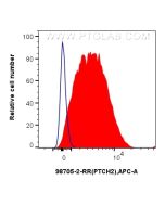 Anti-Human PTCH2 Rabbit Recombinant Antibody Proteintech  98705-2-RR