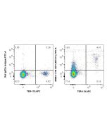 Anti-Mouse CD71 (RI7217) Rat IgG2a Recombinant Antibody Proteintech  65654-1-TR