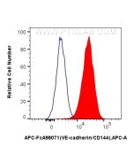 FcZero-rAb? APC Anti-Human VE-cadherin/CD144 Rabbit Recombinant Antibody Proteintech  APC-FcA98071