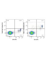 Anti-Human CD302 Rabbit Recombinant Antibody Proteintech  98413-1-RR