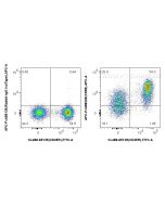FcZero-rAb? APC Anti-Mouse CD55 Rabbit Recombinant Antibody Proteintech  APC-FcA98228