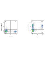 Anti-Mouse VISTA Rabbit Recombinant Antibody Proteintech  98487-2-RR
