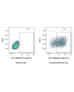 FcZero-rAb? APC Anti-HA Tag Rabbit Recombinant Antibody Proteintech  APC-FcA98447