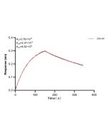GST Tag Recombinant monoclonal antibody, PBS Only 80006-1-PBS proteintech