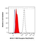 Phospho-TAU (Thr231) Recombinant monoclonal antibody 80101-7-RR proteintech