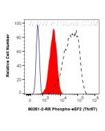 Phospho-eEF2 (Thr57) Recombinant monoclonal antibody 80351-2-RR proteintech