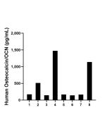 Osteocalcin Recombinant monoclonal antibody, PBS Only (Capture) 80551-4-PBS proteintech