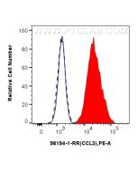 Anti-Mouse CCL3/MIP-1 alpha Rabbit Recombinant Antibody Proteintech  98194-1-RR