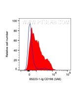 Anti-Human ALCAM (3A6) Proteintech  65223-1-Ig