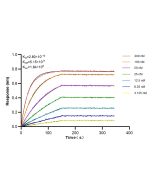 ZAK Recombinant monoclonal antibody 81161-2-RR proteintech