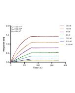 TIM23 Recombinant monoclonal antibody 82540-1-RR proteintech