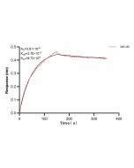 Cannabinoid receptor 1 Recombinant monoclonal antibody, PBS Only (Detector) 82787-3-PBS proteintech
