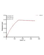 B7-H4 Recombinant monoclonal antibody, PBS Only (Detector) 82850-2-PBS proteintech
