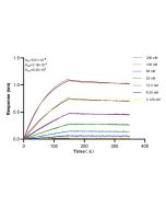 PIAS1 Recombinant monoclonal antibody, PBS Only 82873-2-PBS proteintech