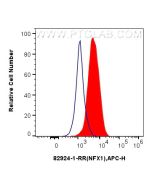 NFX1 Recombinant monoclonal antibody, PBS Only 82924-1-PBS proteintech