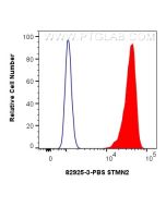STMN2 Recombinant monoclonal antibody, PBS Only 82925-3-PBS proteintech