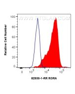 RORA Recombinant monoclonal antibody 82930-1-RR proteintech