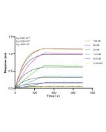 MTF2 Recombinant monoclonal antibody, PBS Only 82944-1-PBS proteintech