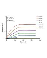 DFNA5/GSDME Recombinant monoclonal antibody 82955-2-RR proteintech