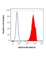 ARID1B Recombinant monoclonal antibody, PBS Only 82979-6-PBS proteintech