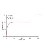 OPRM1 Recombinant monoclonal antibody, PBS Only (Capture/Detector) 83120-4-PBS proteintech