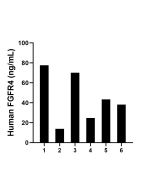 FGFR4 Recombinant monoclonal antibody, PBS Only (Detector) 83153-5-PBS proteintech