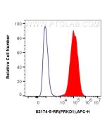 PRKD1 Recombinant monoclonal antibody, PBS Only 83174-5-PBS proteintech