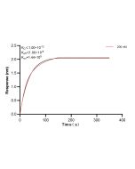 MAEA Recombinant monoclonal antibody, PBS Only (Detector) 83267-4-PBS proteintech