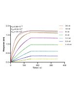 TFF1 Recombinant monoclonal antibody, PBS Only 83467-2-PBS proteintech
