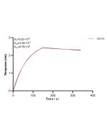 PIP4K2B Recombinant monoclonal antibody, PBS Only (Capture) 83647-2-PBS proteintech