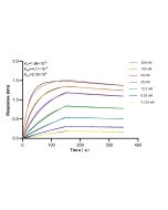 CDK9 Recombinant monoclonal antibody, PBS Only (Capture) 83662-6-PBS proteintech