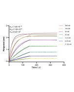 PAK4 Recombinant monoclonal antibody 83761-5-RR proteintech