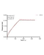 DOT1L Recombinant monoclonal antibody, PBS Only 83904-3-PBS proteintech