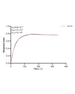 ANK2 Recombinant monoclonal antibody, PBS Only (Capture) 83912-4-PBS proteintech