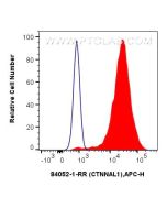 CTNNAL1 Recombinant monoclonal antibody 84052-1-RR proteintech